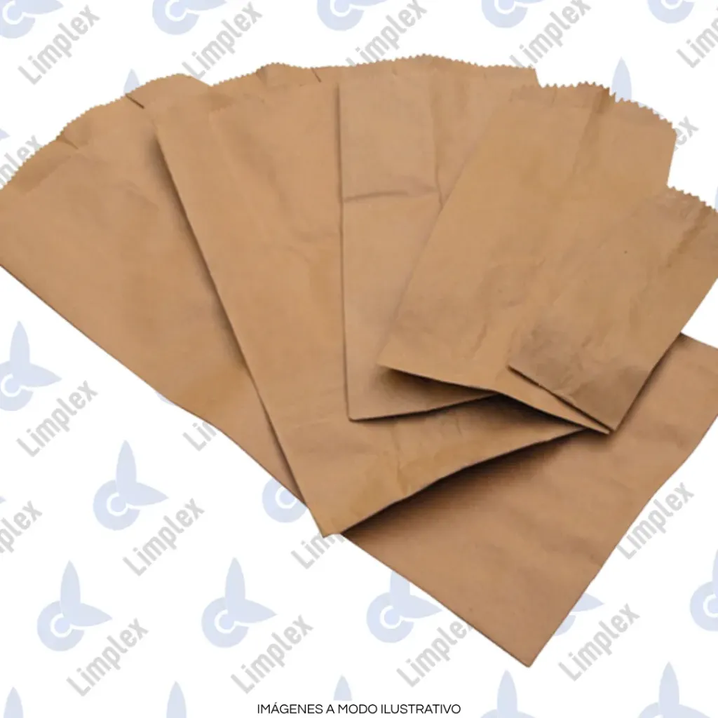 BOLSA PAPEL KRAFT 3 X 100