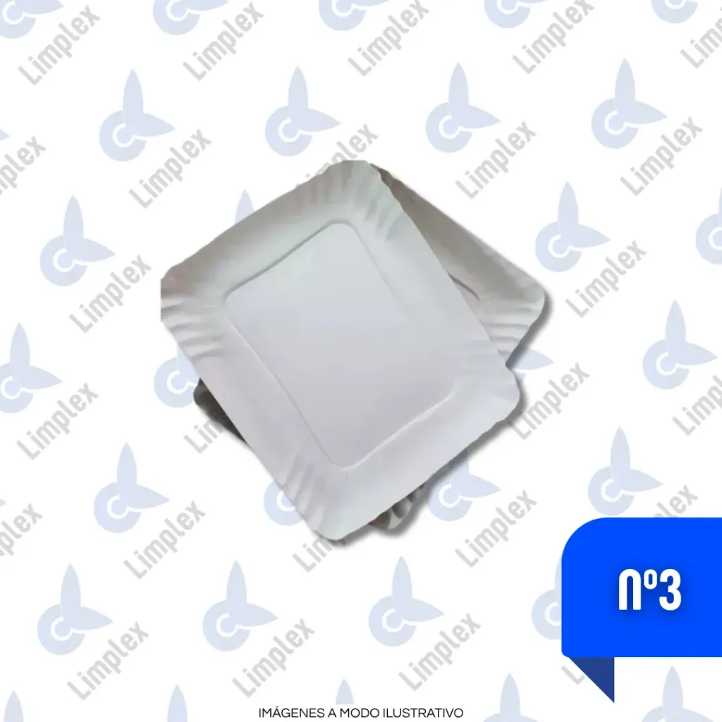 BANDEJA CARTON 3 X 100 UN