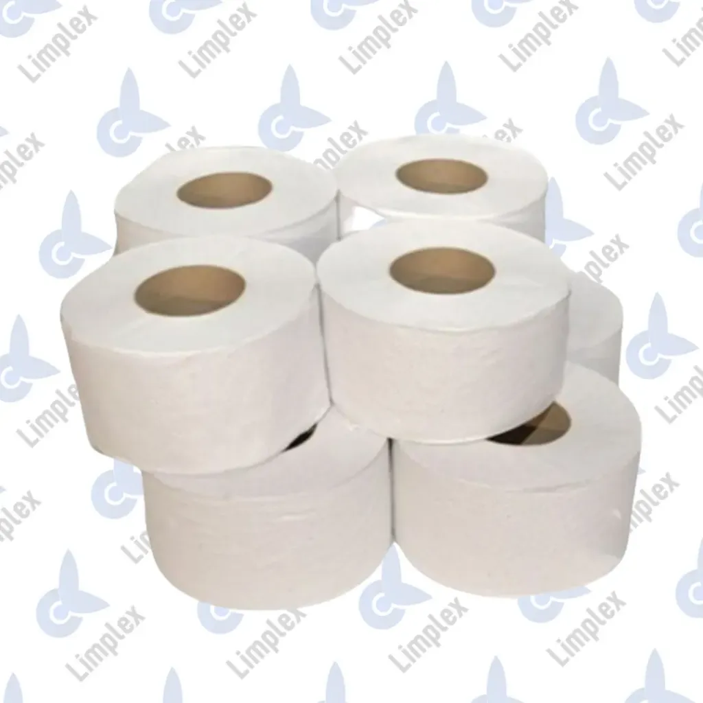 HIGIENICO CONO GRANDE PREMIUM 300MTS X 8 UN
